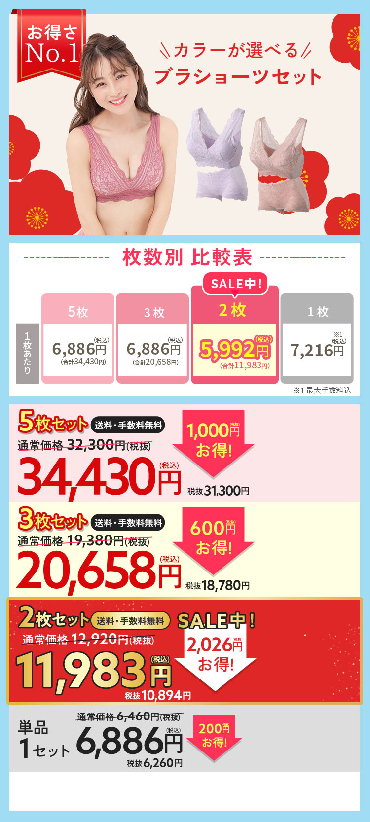 ブラ＆ショーツ5枚セット 通常価格31330円（税込35530円） 3553円（税込）お得！29070円（税込31997円） 1枚6460円（税込7106円）×5枚 手数料無料 送料無料 お好きなカラーが選べる