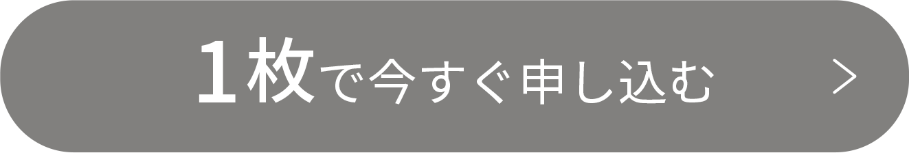 1枚で今すぐ申し込む