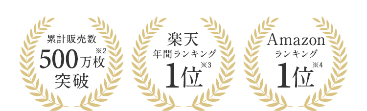 累計販売数500万枚突破※2 楽天年間ランキング1位※3 ナイトブラ利用者が選ぶオススメしたいナイトブラNo.1※4