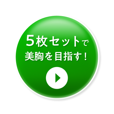 5枚セットで今すぐ申し込む