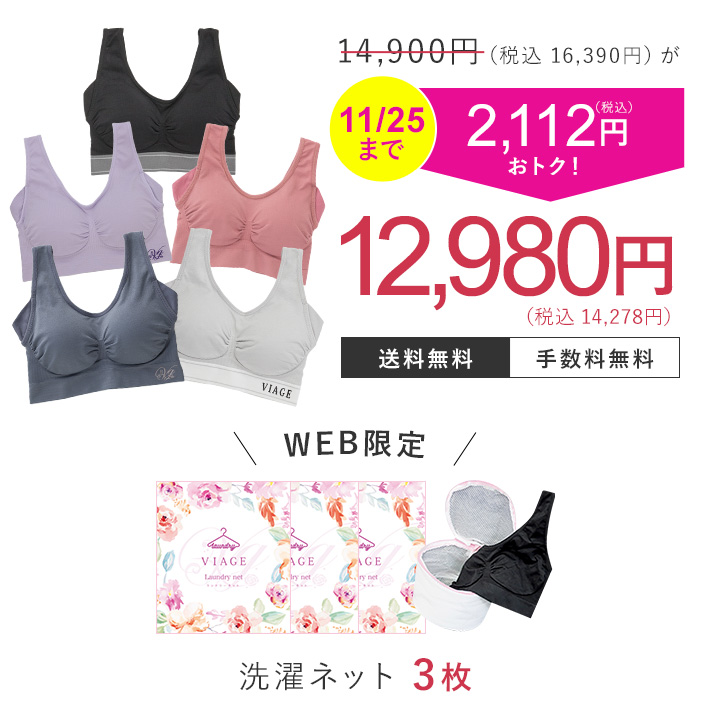 14,900円（税込16,300円）が10％OFF 1,639円（税込）おトク！ 13,410円（税込14,751円） 送料無料 手数料無料 5枚セット限定特典 フェイスパック3枚 洗濯ネット3枚