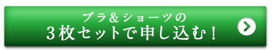 ブラ＆ショーツの3枚セットで申込む