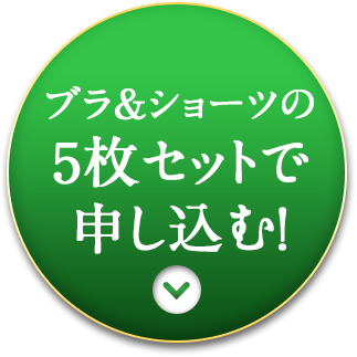 ブラ＆ショーツの5枚セットで申込む