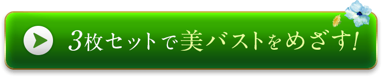 3枚セットで美バストをめざす