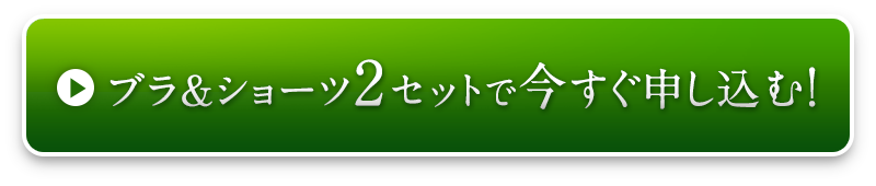 ブラ＆ショーツ2セットで今すぐ申込む！